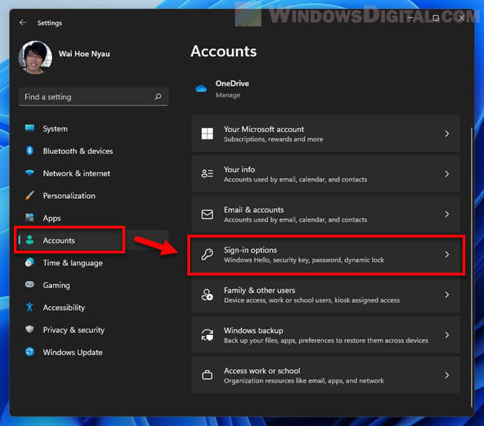 Accounts Sign-in options Windows 11