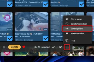 Add multiple YouTube videos to a playlist at once