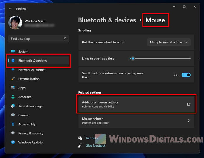 Additional mouse settings Windows 11