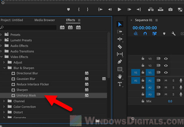 Adobe Premiere Pro to remove mosaic