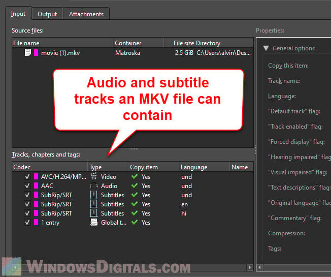 Audio and subtitle tracks an MKV file can contain