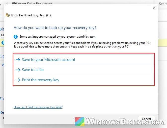 Back up BitLocker recovery key options Windows 11
