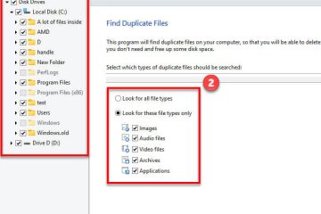 Best Free Duplicate File Finder for Windows 11