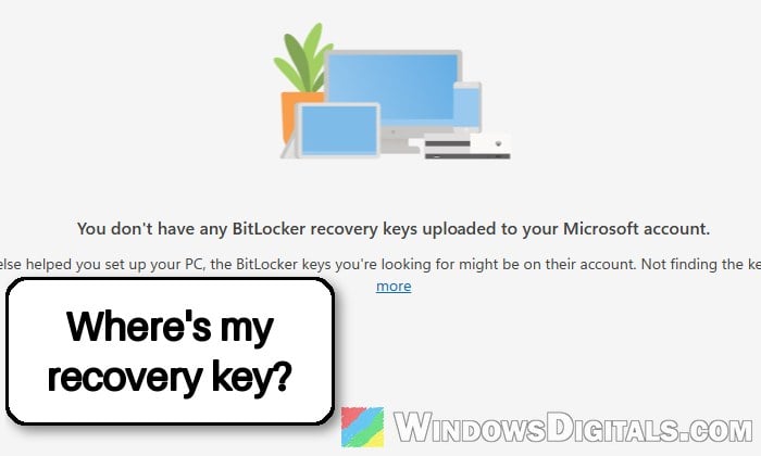 BitLocker Recovery Key Not in Your Microsoft Account, What to do?