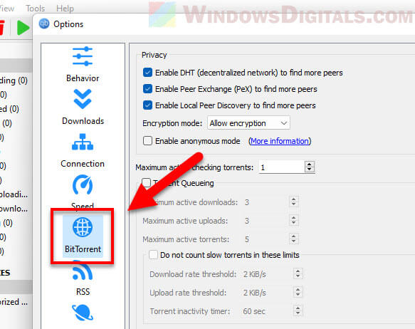 Bittorrent Settings