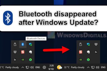 Bluetooth Disappeared after Windows 11 10 Update