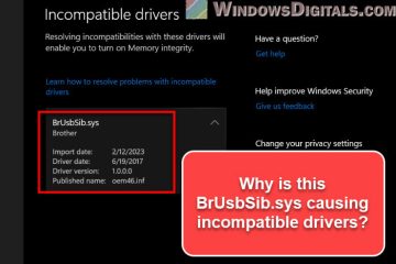 BrUsbSib.sys Incompatible Drivers in Windows 11