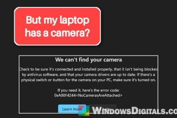 Camera Error 0xA00F4244 NoCamerasAreAttached in Windows 11