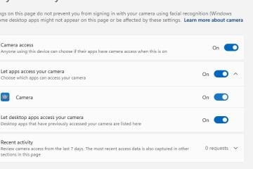 Camera Error 0xA00F429F WindowShowFailed in Windows 11