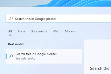 Change Windows 11 Start menu Default Search to Google