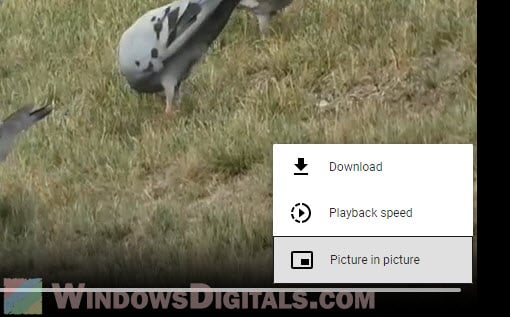 Change volume playback speed online video player