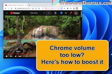 Chrome Volume Too Low on Windows 11, Android or Mac