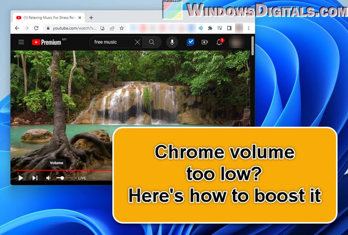 Chrome Volume Too Low on Windows 11, Android or Mac