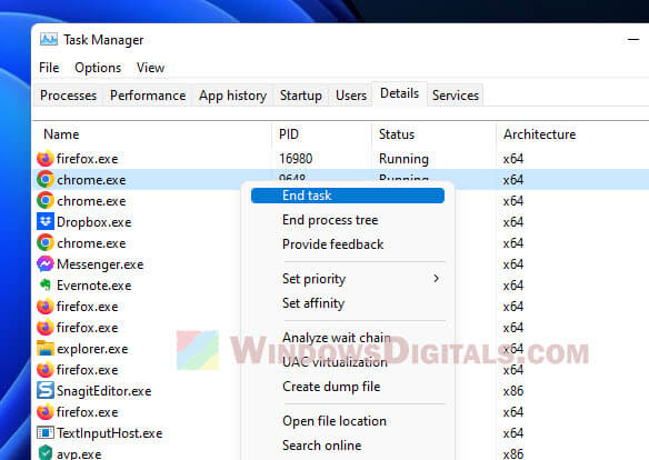 Chrome multiple processes in Task Manager Windows 11