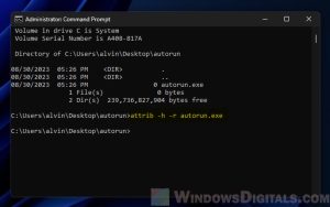 how to remove virus from windows 11 using cmd