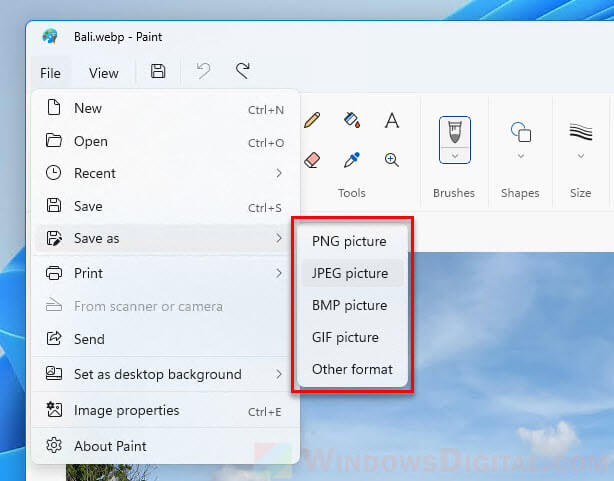 Convert WebP to JPG or PNG in Windows 11