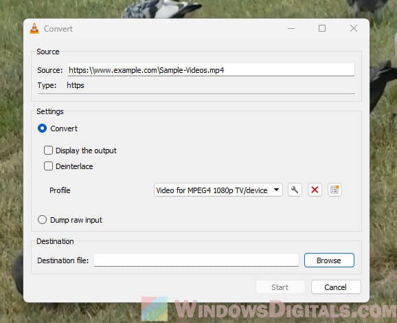 Convert and save video in VLC