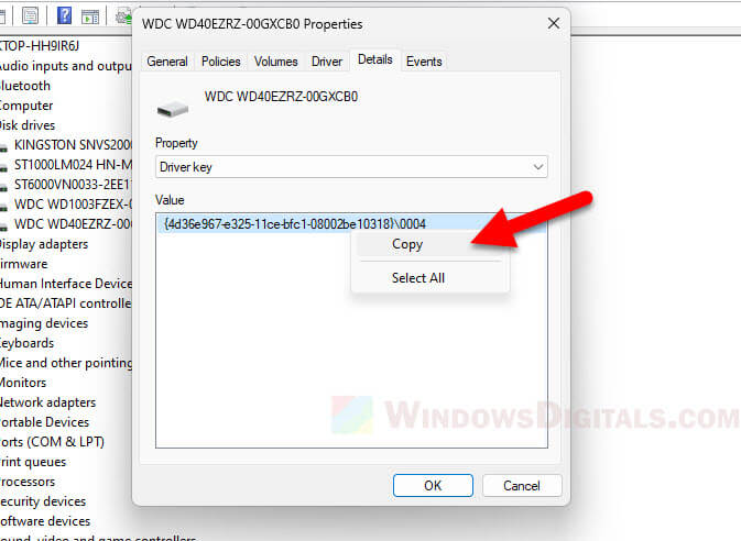 Copy Driver Key of a hardware in Device Manager