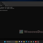 Crash Windows 11 with CMD window