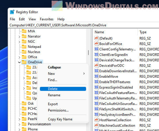 Delete OneDrive Registry Windows 11