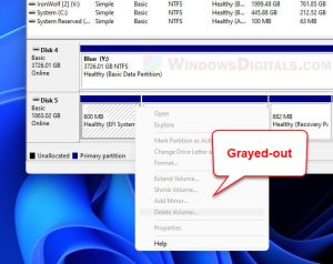 How to Delete Protected EFI System Partition in Windows 11