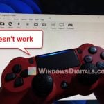 Dolphin Emulator controller not working