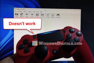 Dolphin Emulator controller not working