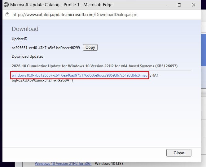 Download KB5126657 msu file Update Catalog