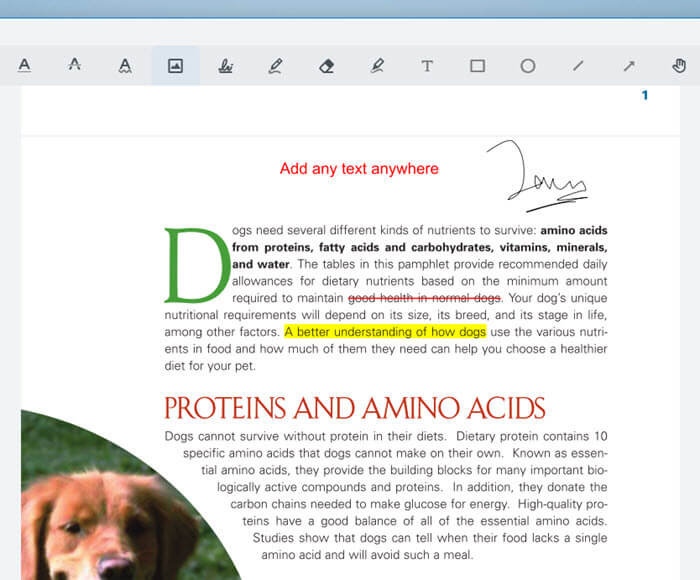 Edit PDF in Windows 11 for free