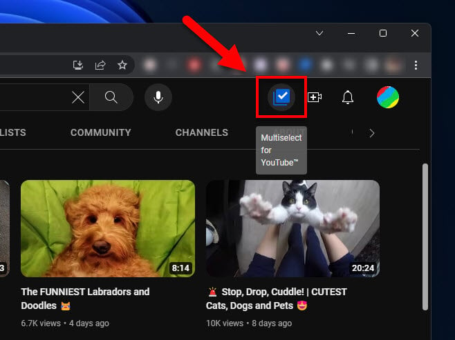 Enable Multi Select YouTube