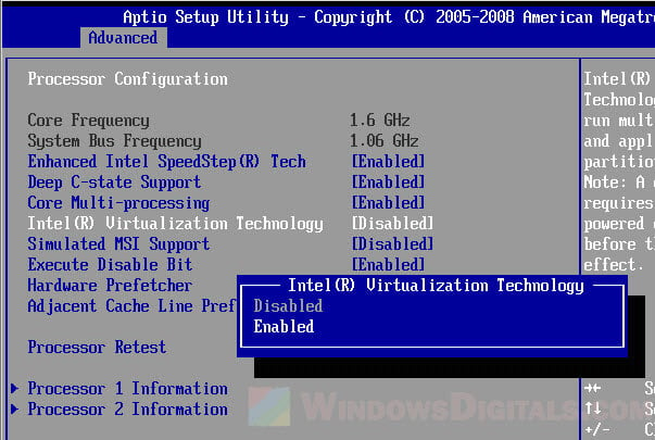 Enabled Intel VT-x VMware