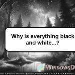 Everything in Windows 11 Looks Black and White