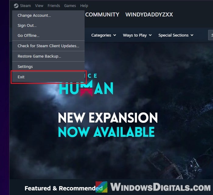 Exit Steam completely from the Steam menu Windows 11