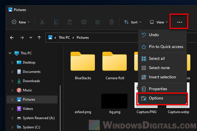 File Explorer Folder Options