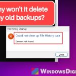File History Clean Up "Element not found" Error in Windows 11/10