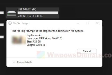 File Too Large for USB Drive But Plenty of Space