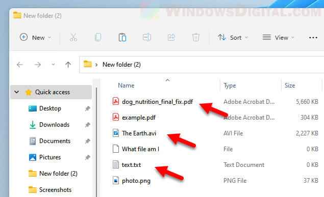 File extension Windows 11