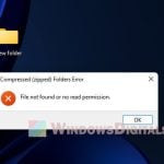 File not found or no read permission Windows 11