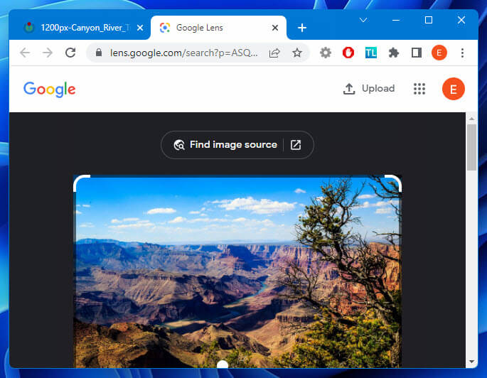 Find Image Source Windows 11