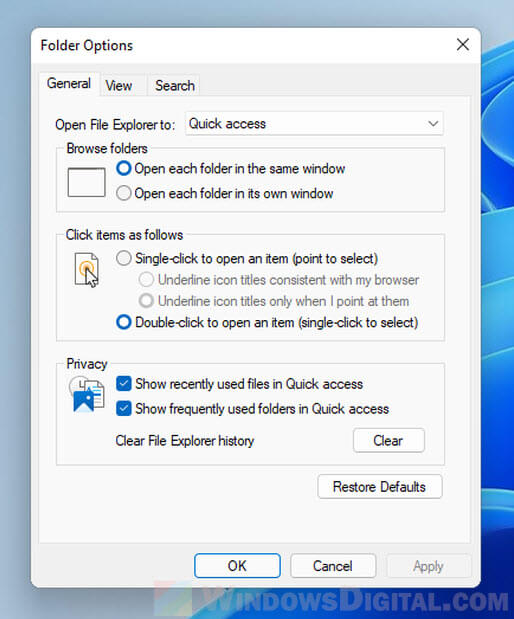 Folder Options Windows 11