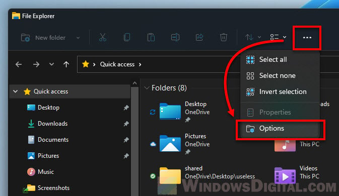 Folder Options in File Explorer on Windows 11