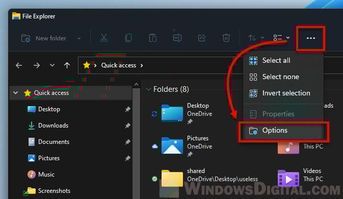 Folder Options in File Explorer on Windows 11
