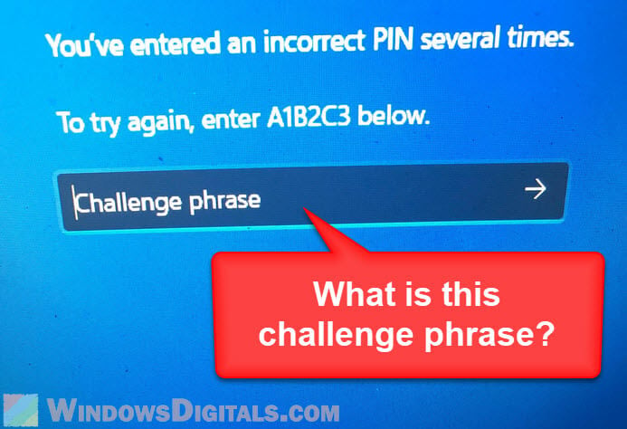Forgot Challenge Phrase in Windows 11