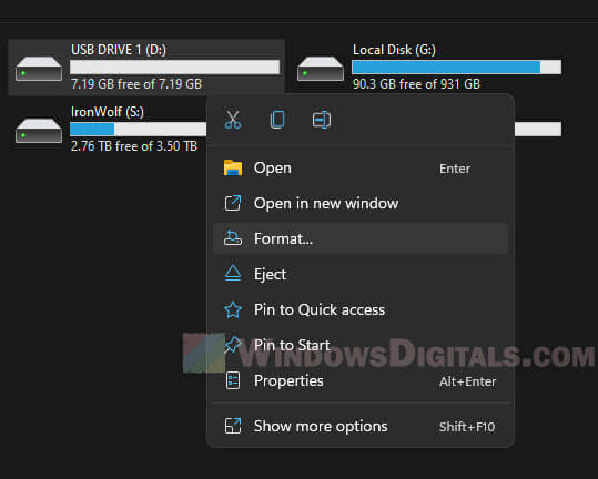 Format USB Drive Windows 11