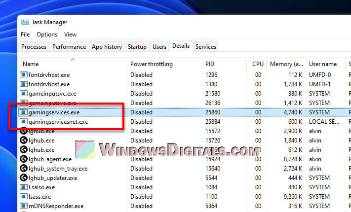 GamingServices.exe and GamingServicesNet.exe in Task Manager