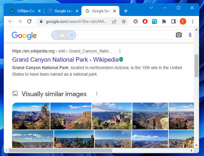 Google Lens Reverse Image Search
