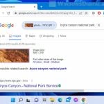 Google Reverse Image Search on Windows 11