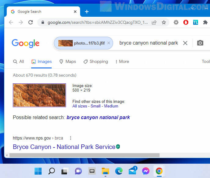 Google Reverse Image Search on Windows 11
