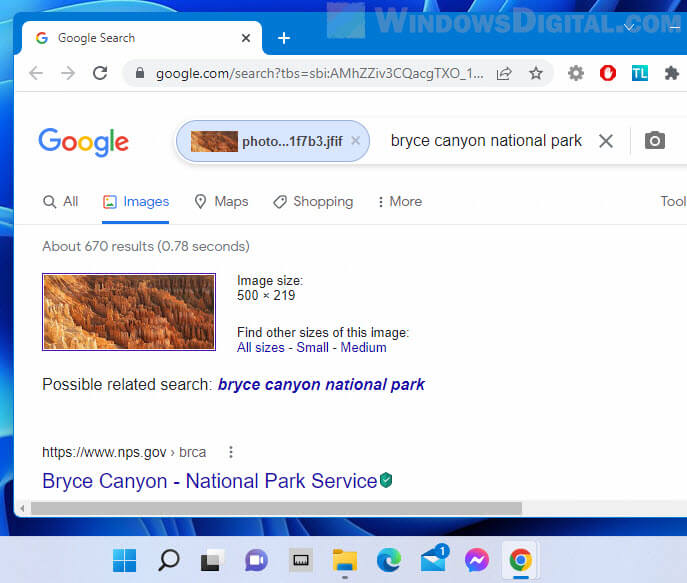 Google Reverse Image Search on Windows 11