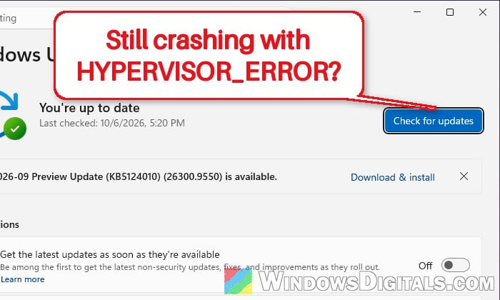 HYPERVISOR_ERROR (0x20001) Blue Screen on Windows 11
